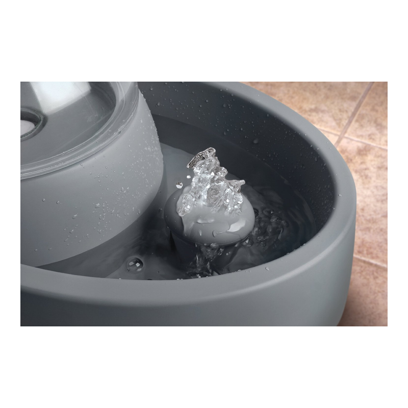 chat fontaine