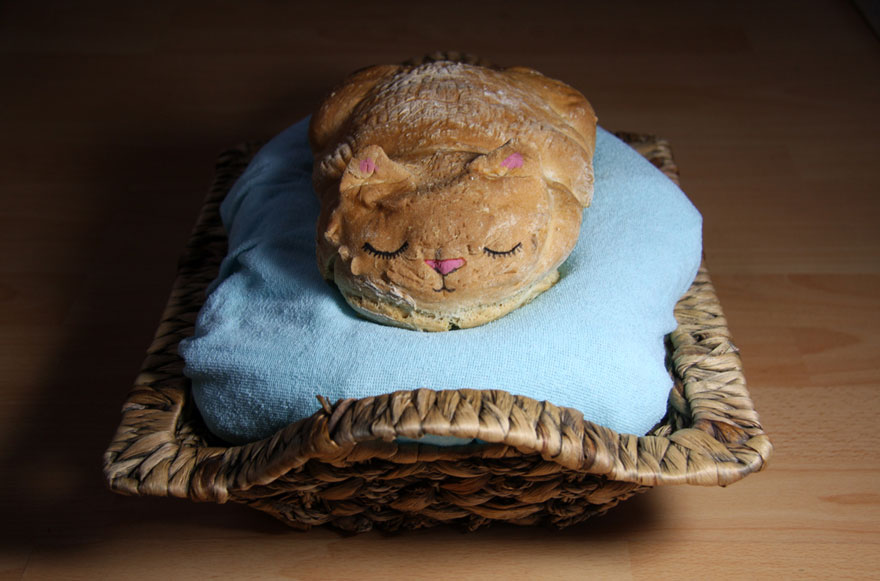 chat corbeille de pain