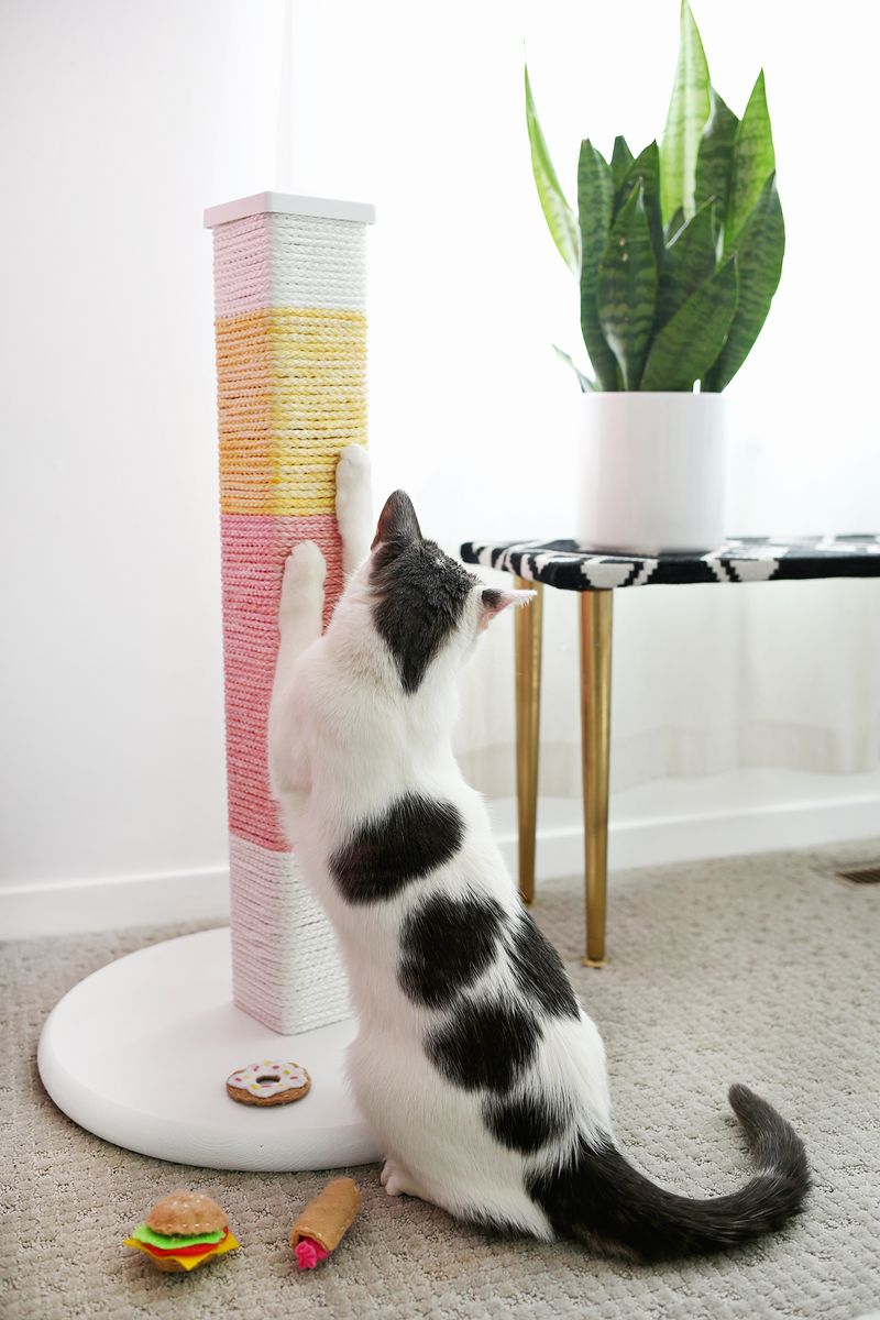 Un griffoir color block stylé pour votre chat.