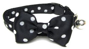 Un collier pour chat élégant