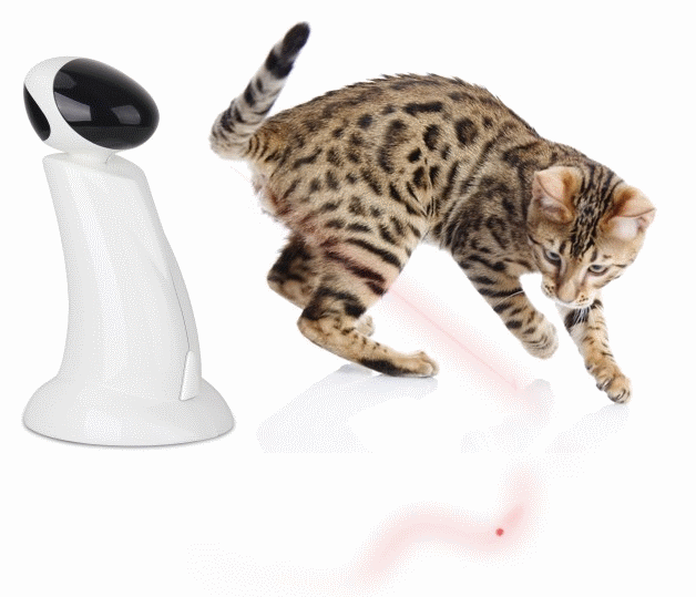 Robot laser pour chat