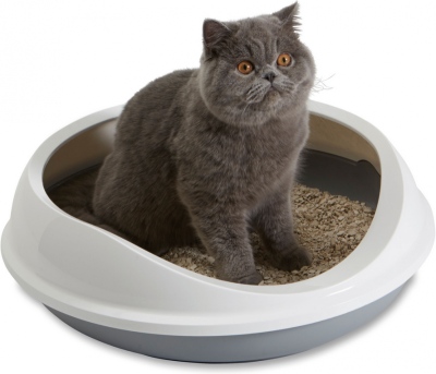 Le bac à litière Figaro est idéal pour les chatons et les chats adultes