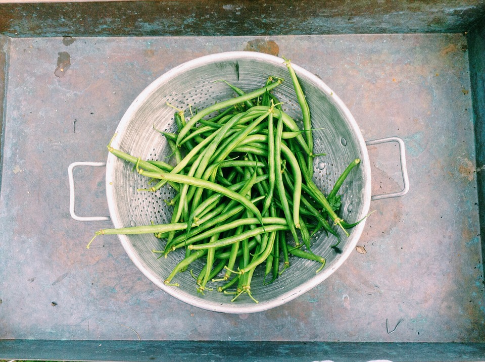 Haricots verts cuits