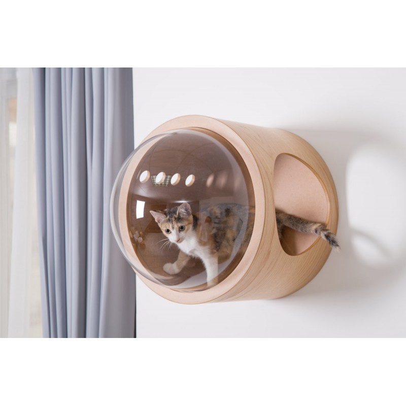 Niche En Bois Et Plexiglass Pour Chat A Fixer Au Mur Gamma Myzoo