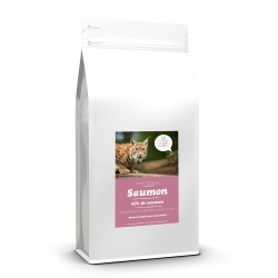 Croquettes sans céréale au Saumon pour chat 2 kg - CAT APART