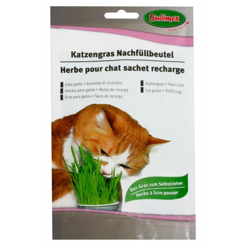 Herbe à chat - Bienfaits de l'herbe à chat - Doctissimo