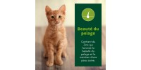 Pâtée pour chaton en Pochon sans céréale - EQUILIBRE et INSTINCT