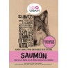 Croquettes sans céréale pour petit chien Saumon, truite, patate douce, asperge - LE CHIEN URBAIN à Nice