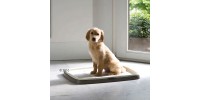 Kit toilettes avec Tapis d'entrainement et de propreté pour chiots ou chien Puppy Trainer 45x30cm x7 - SAVIC