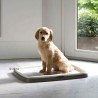Kit toilettes avec Tapis d'entrainement et de propreté pour chiots ou chien Puppy Trainer 45x30cm x7 - SAVIC