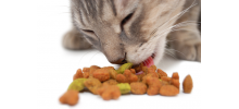 EYENIMAL - Distributeur de croquettes pour chat Pet Feeder