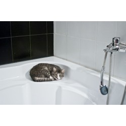 Comment donner le bain à son chat ? 