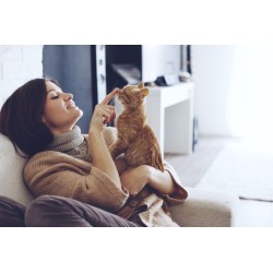 8 comportements qui montrent que votre chat est heureux près de vous !
