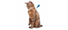 Pipettes sans pesticide anti-parasite pour chat  x 6 Dimethicare - BEAPHAR