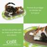 Griffoir en carton ovale Scratcher - CAT IT