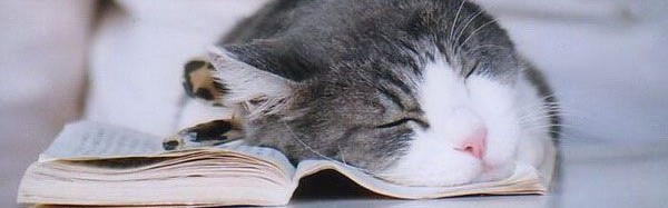 Ce chat s'est endormi sur les pages d'un livre ouvert