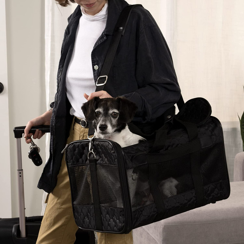 sac, cage, caisse de transport pour chien animalerie en ligne chat chien urbain