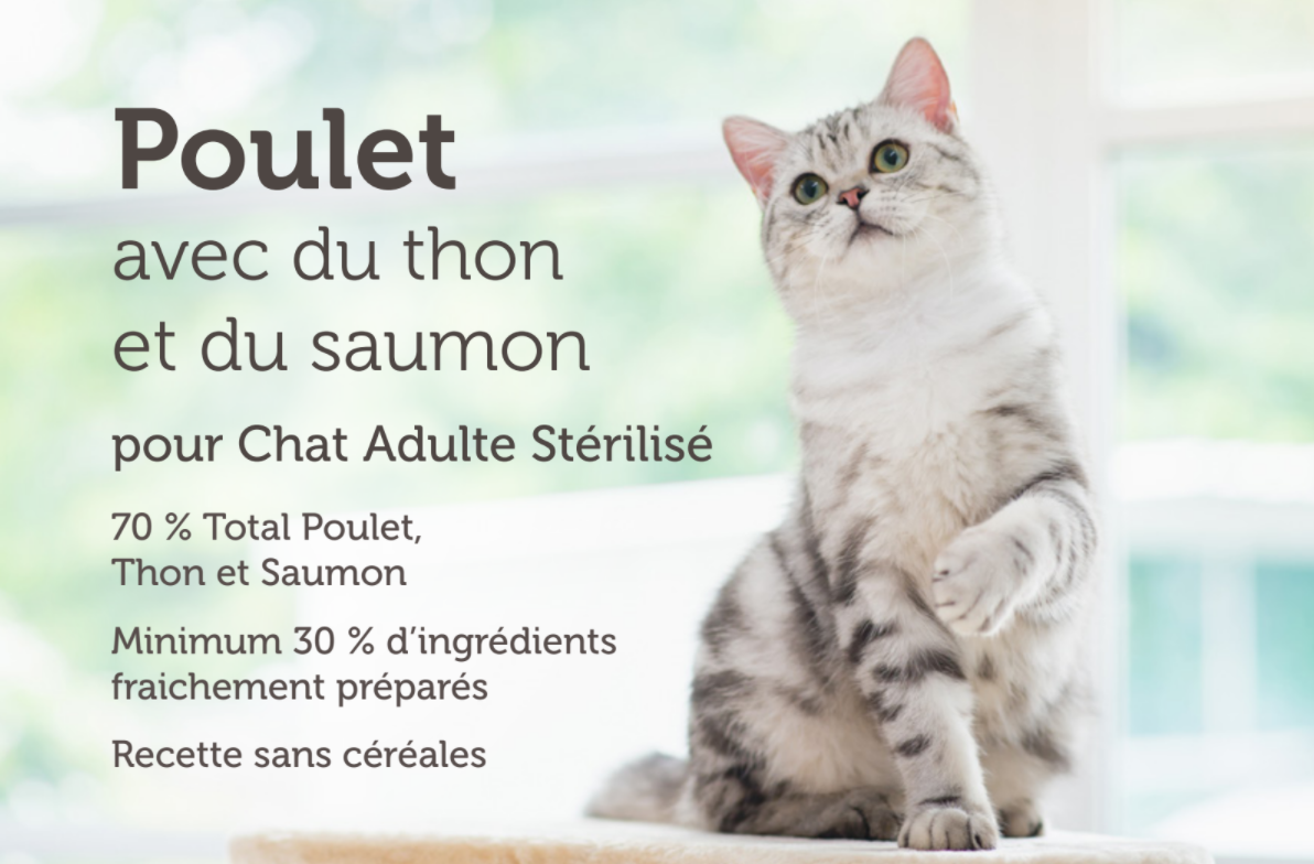 Croquettes pour chat stérilisé Poulet Thon Saumon - Le chat Urbain à Nice
