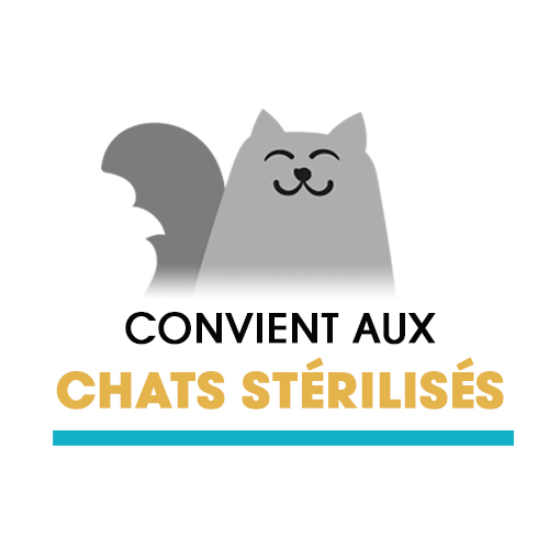 Hami Forme Patee Pour Chat Naturelle 100 Francais Saveurs Viandes