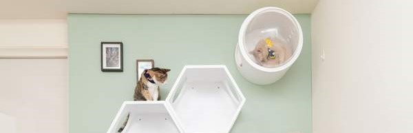 Petit Appartement Une Solution Elegante Pour Chat Myzoo