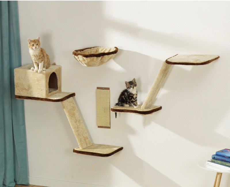 amenagement maison chat